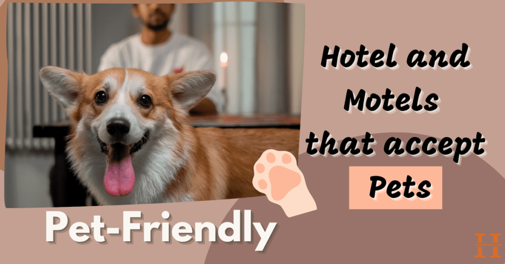 Pet-Friendly Motels