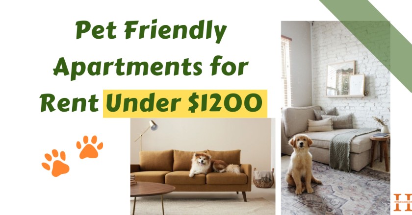 Pet Friendly Apartments for Rent Under 1200