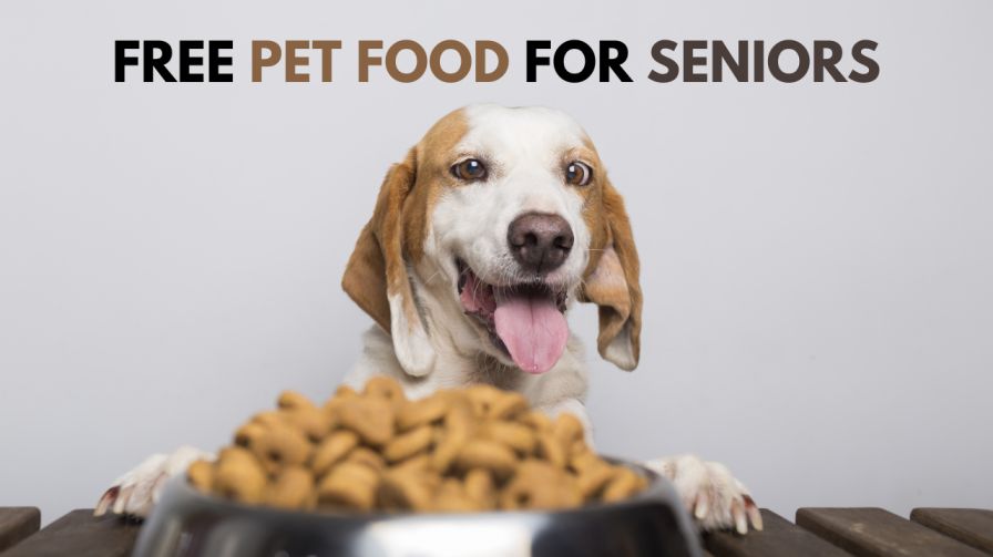 free pet food for seniors